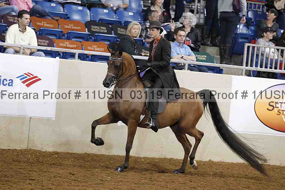 Proof 11usn_03119