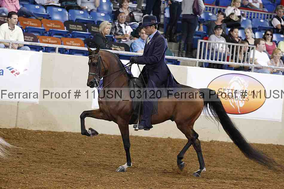 Proof 11usn_03120