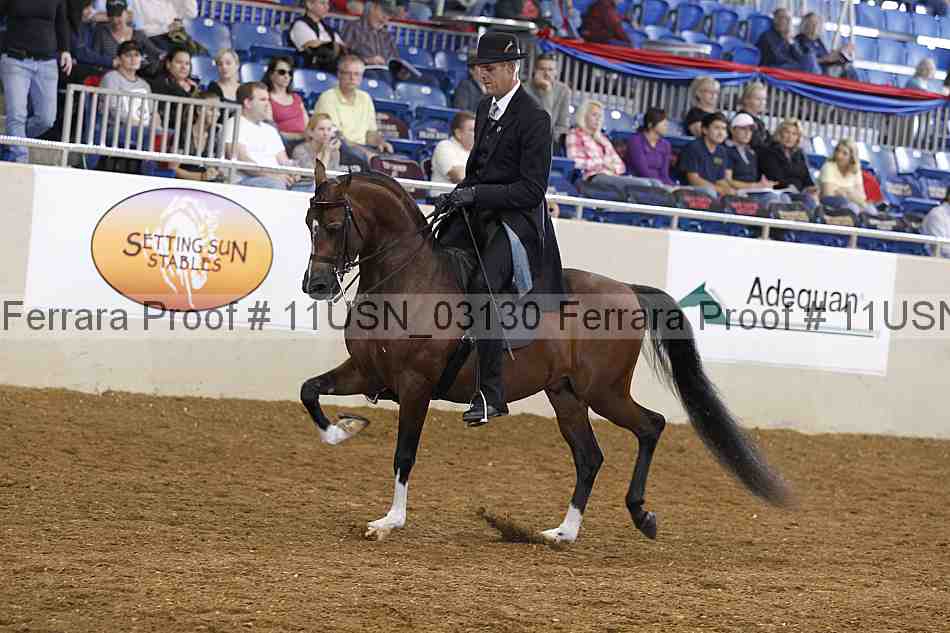 Proof 11usn_03130