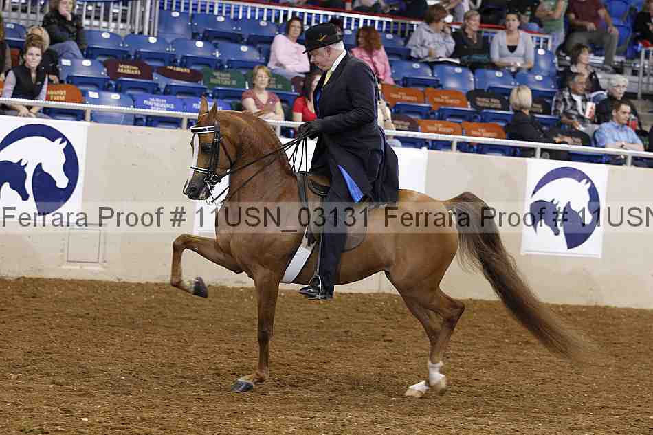 Proof 11usn_03131