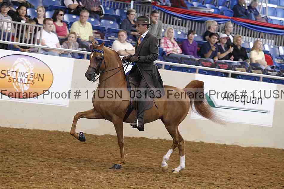 Proof 11usn_03133