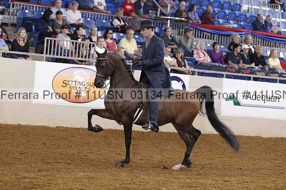 Proof 11usn_03134
