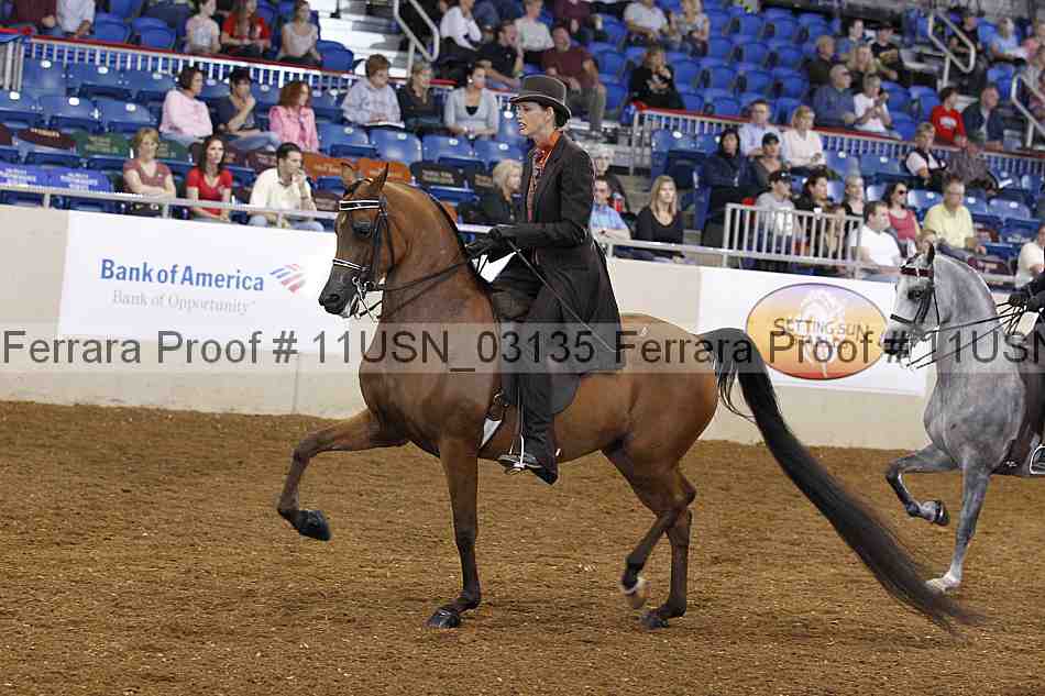 Proof 11usn_03135