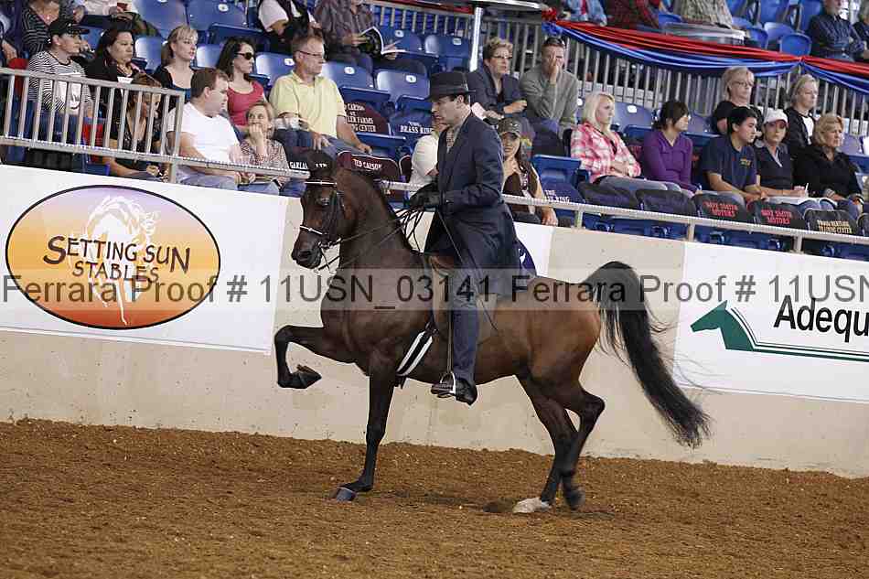 Proof 11usn_03141