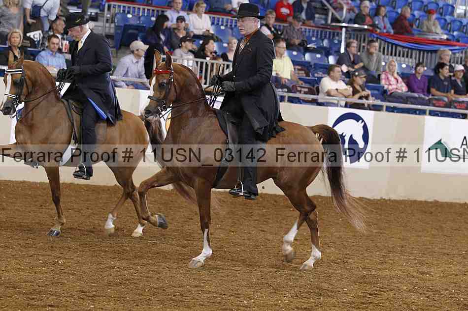 Proof 11usn_03142
