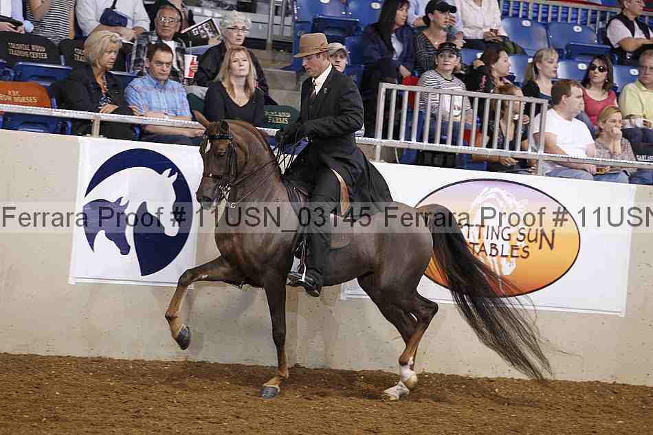 Proof 11usn_03145