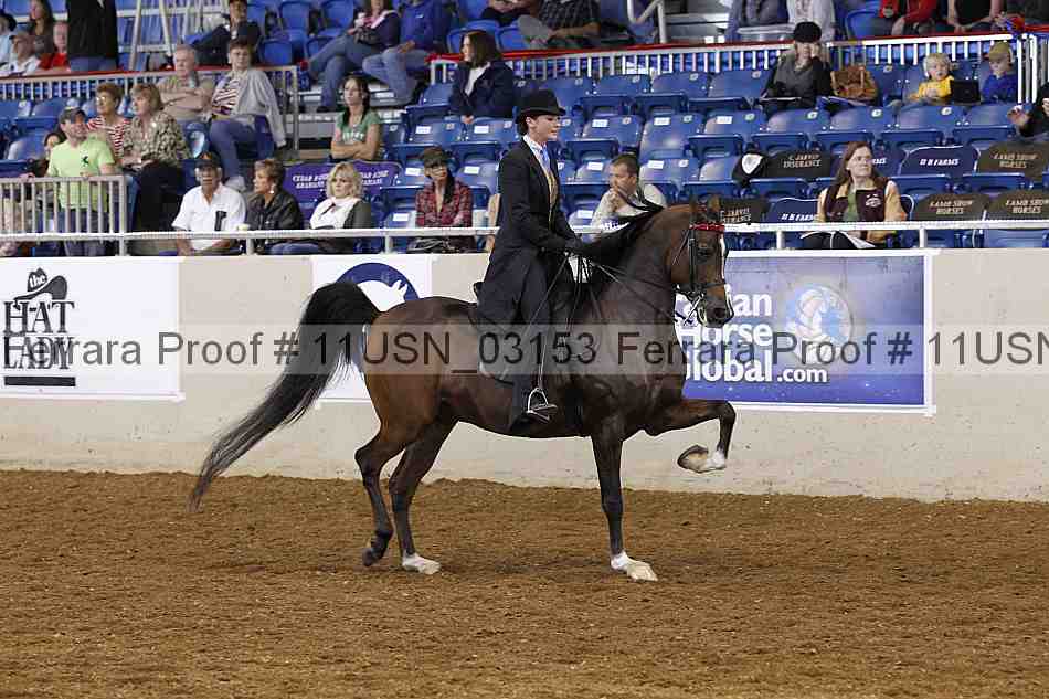 Proof 11usn_03153