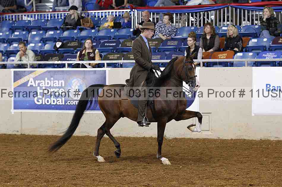 Proof 11usn_03156