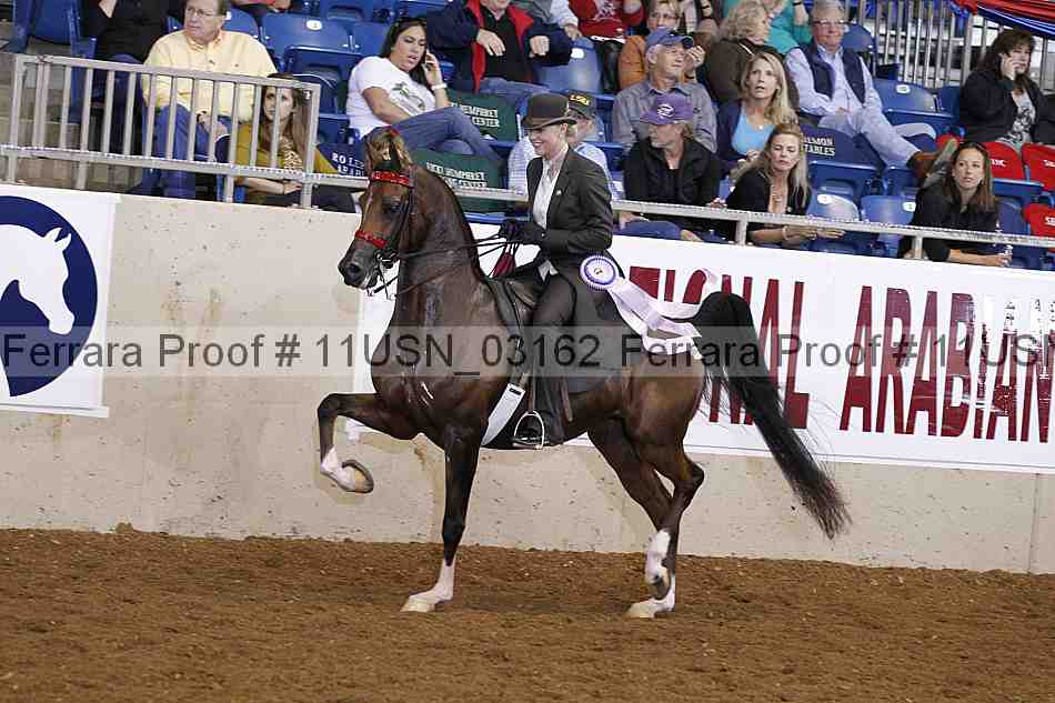 Proof 11usn_03162