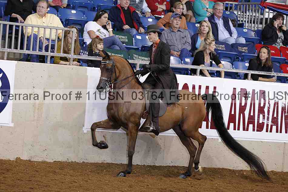 Proof 11usn_03164