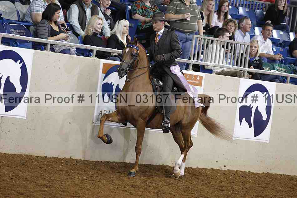 Proof 11usn_03167