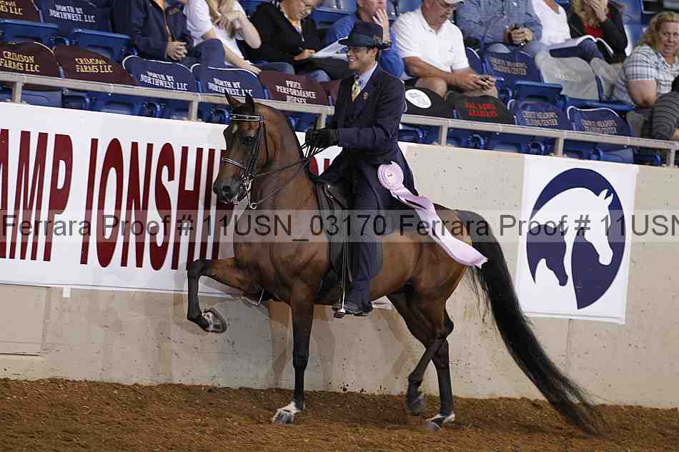 Proof 11usn_03170