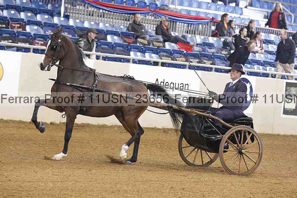 Proof 11usn_23656