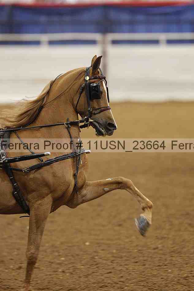 Proof 11usn_23664