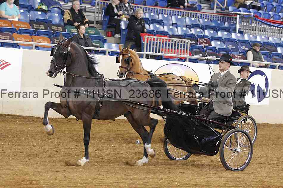 Proof 11usn_23686