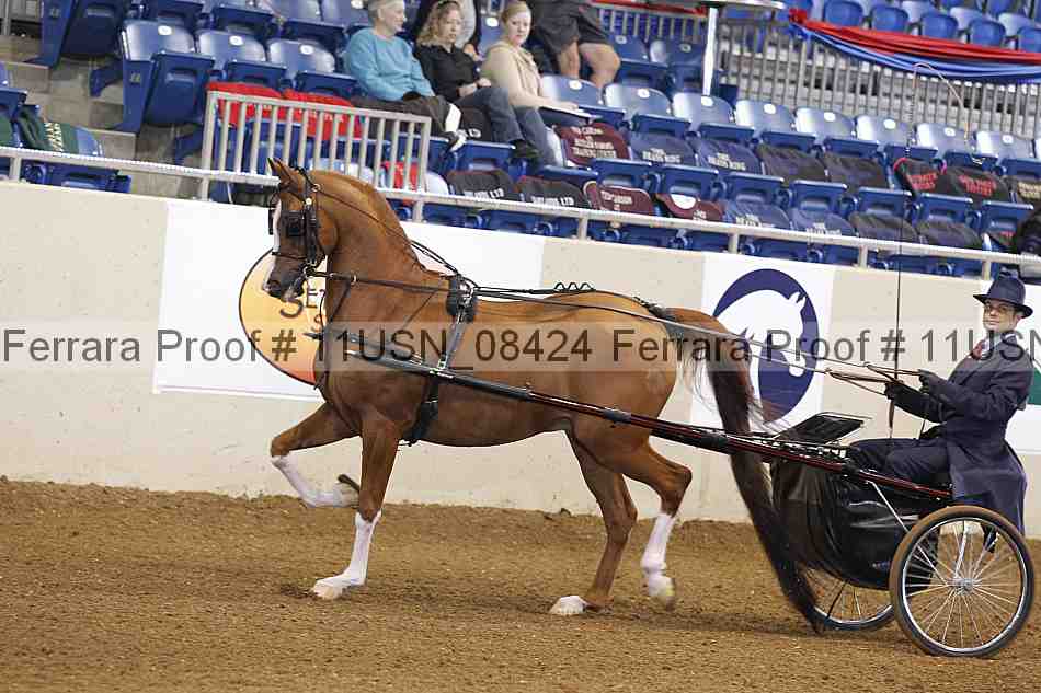 Proof 11usn_08424