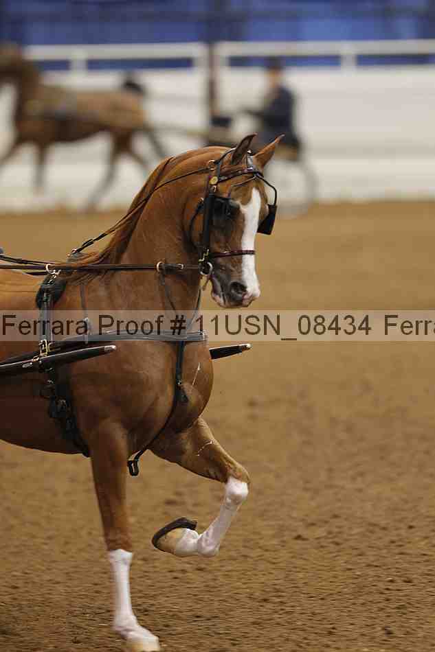 Proof 11usn_08434