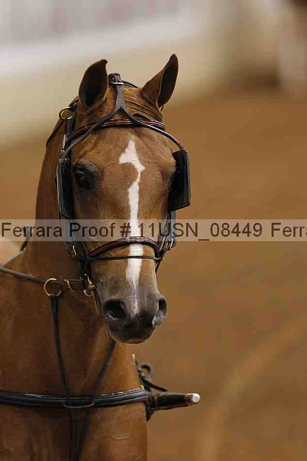 Proof 11usn_08449