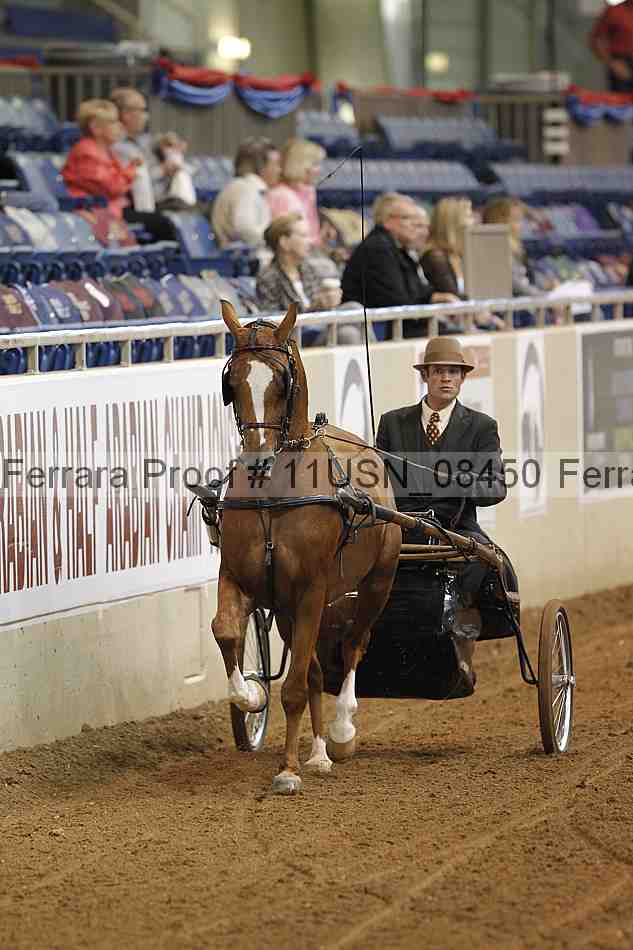 Proof 11usn_08450