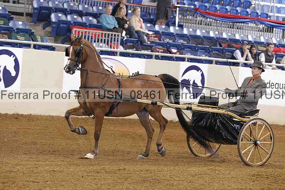 Proof 11usn_08461