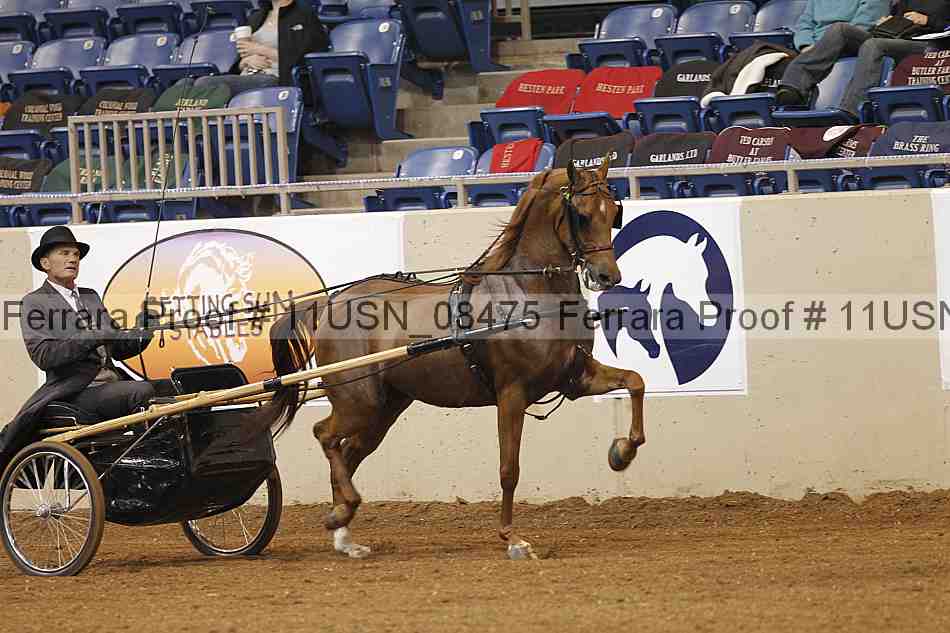 Proof 11usn_08475