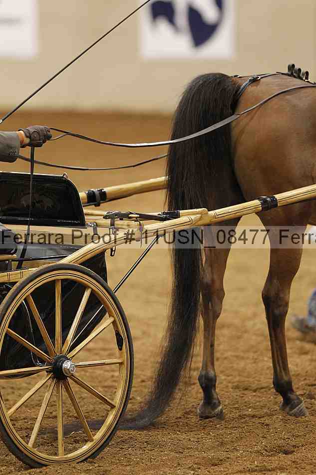 Proof 11usn_08477