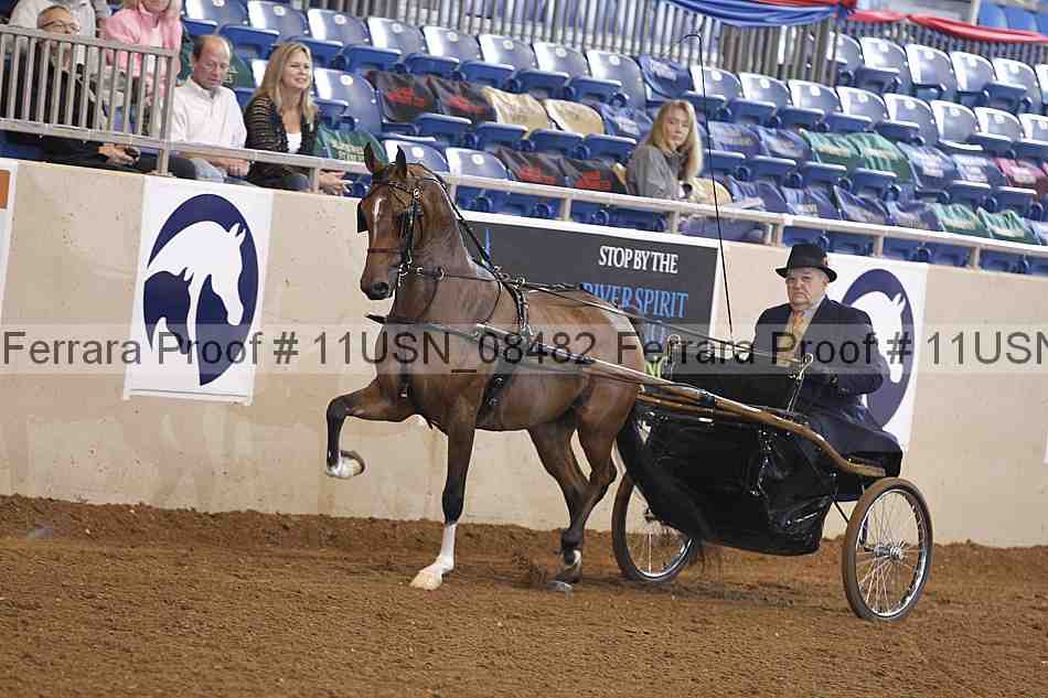 Proof 11usn_08482