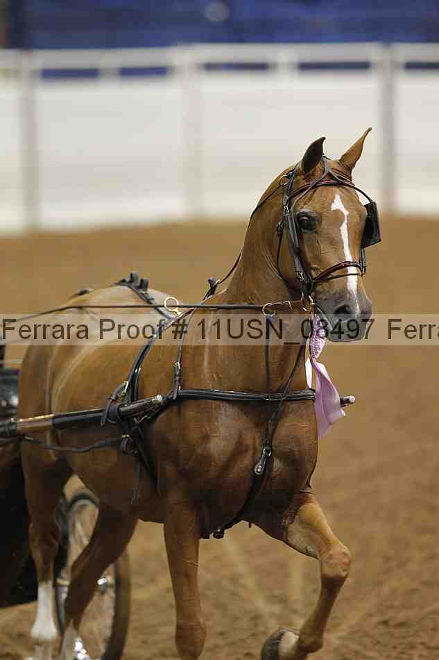 Proof 11usn_08497