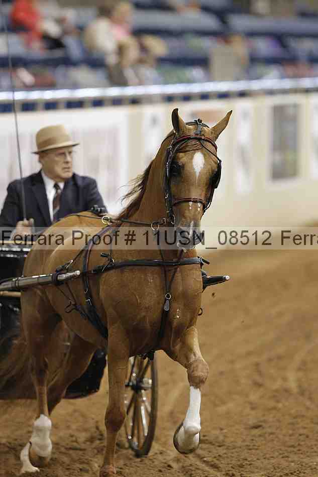 Proof 11usn_08512