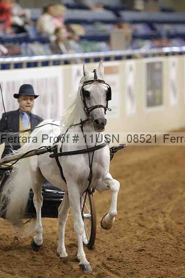Proof 11usn_08521