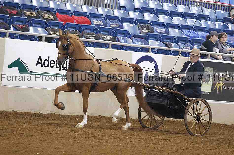 Proof 11usn_08536