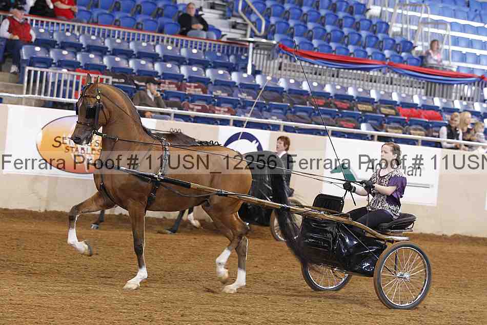 Proof 11usn_12256