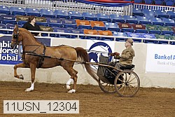 11usn_12304 proof