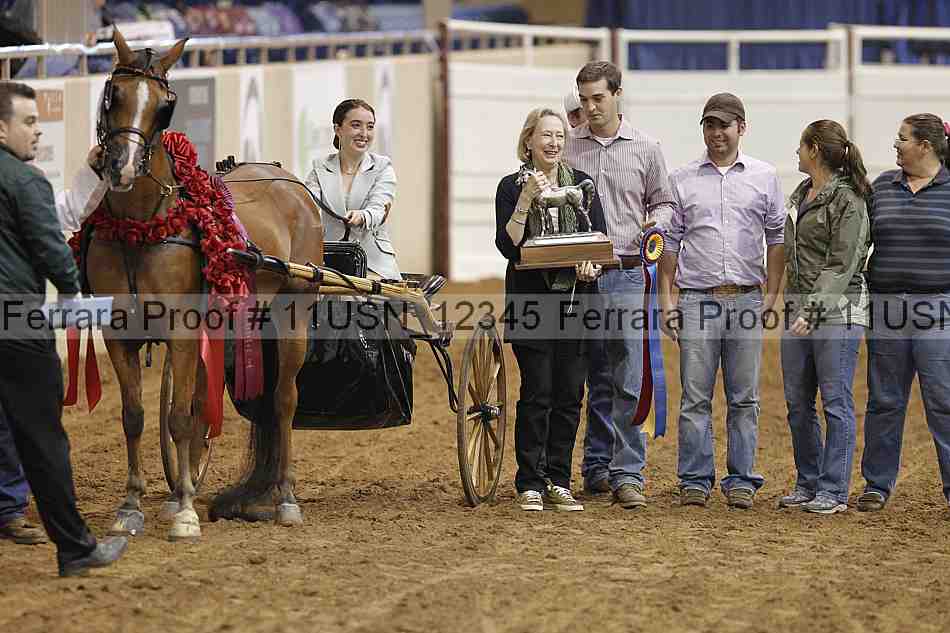 Proof 11usn_12345