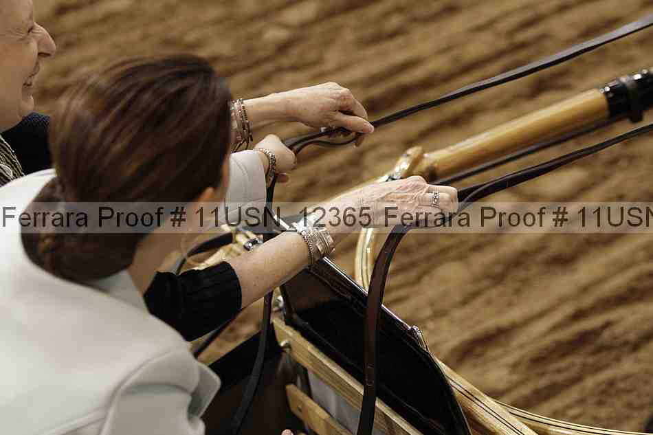 Proof 11usn_12365