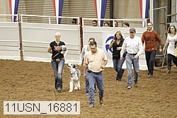11usn_16881 proof