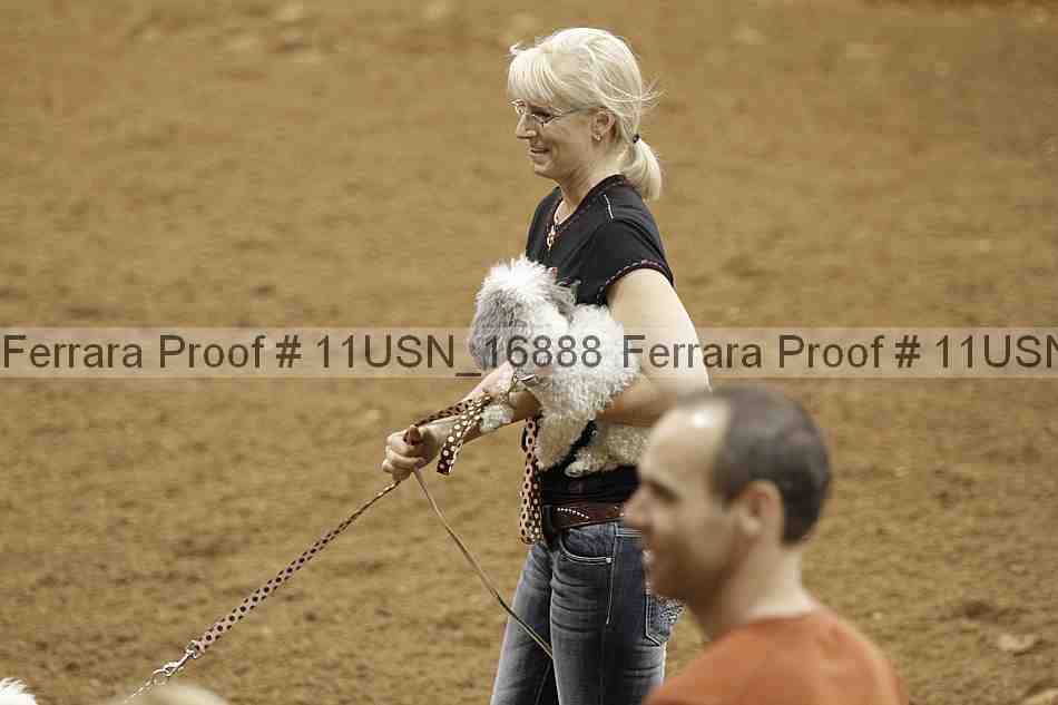 Proof 11usn_16888