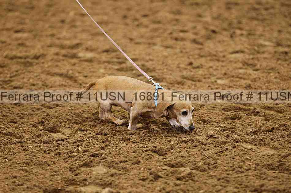 Proof 11usn_16891