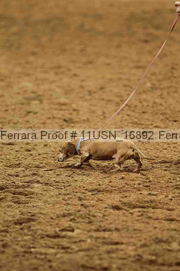 Proof 11usn_16892
