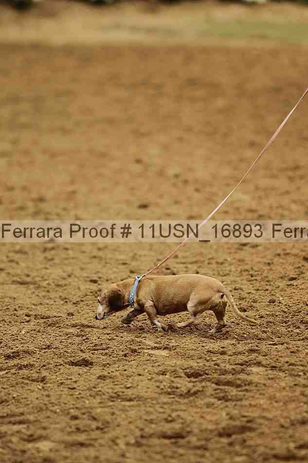 Proof 11usn_16893