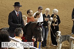 11usn_16894 proof