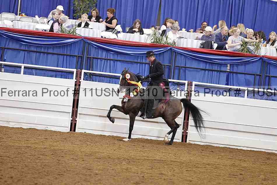 Proof 11usn_16910
