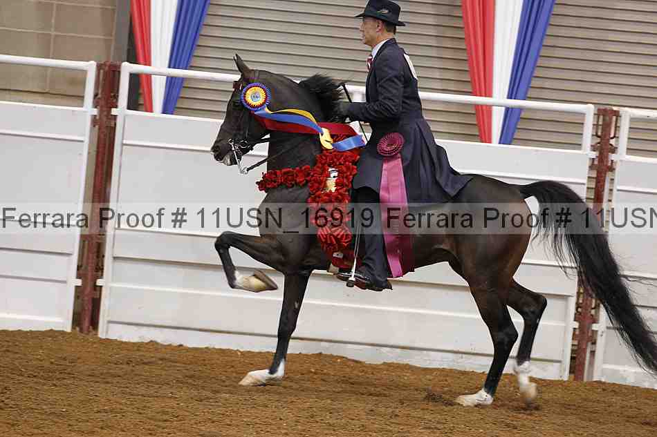 Proof 11usn_16919