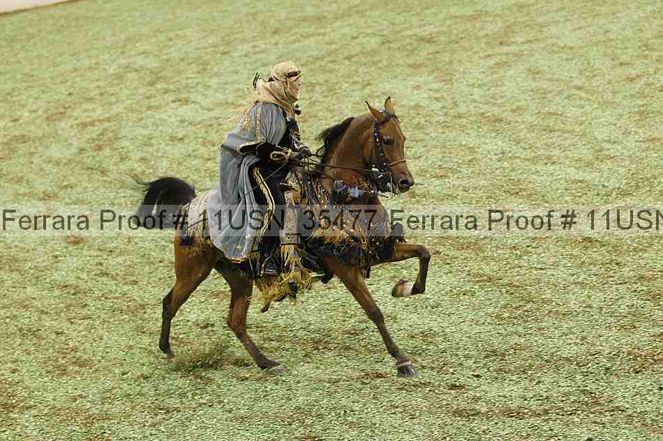 Proof 11usn_35477