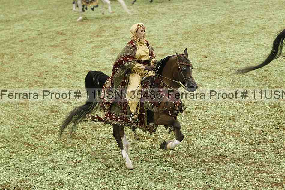 Proof 11usn_35486