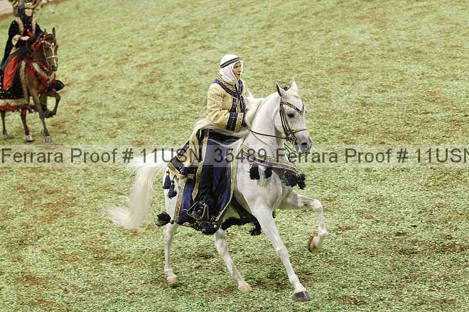 Proof 11usn_35489
