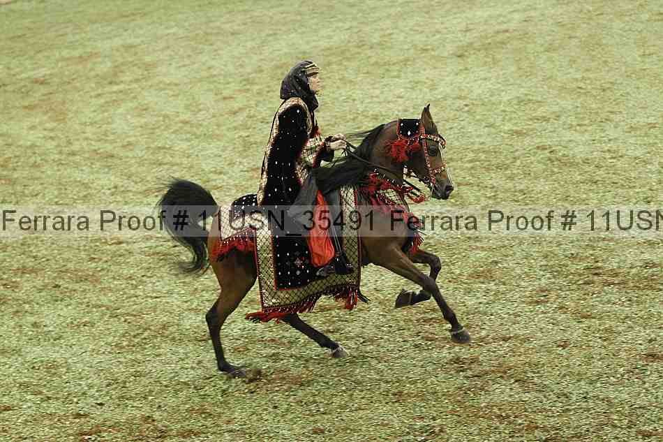 Proof 11usn_35491