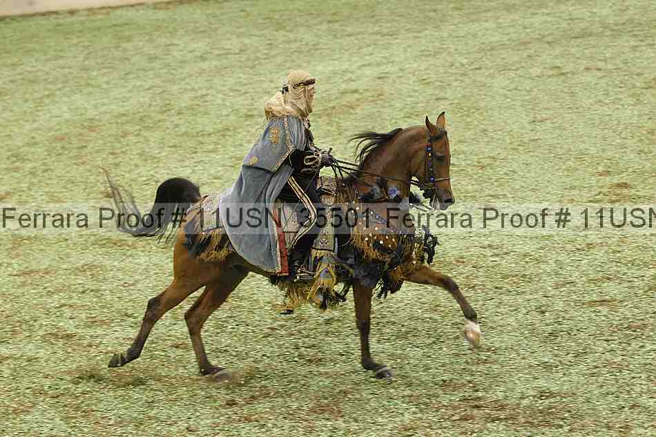 Proof 11usn_35501