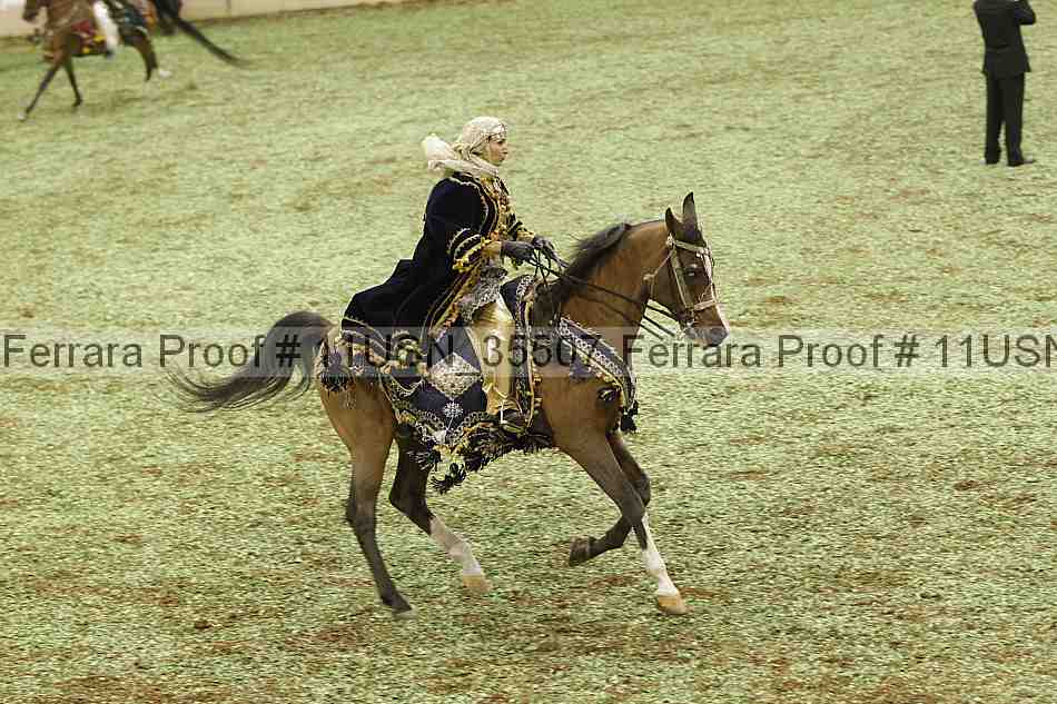 Proof 11usn_35507