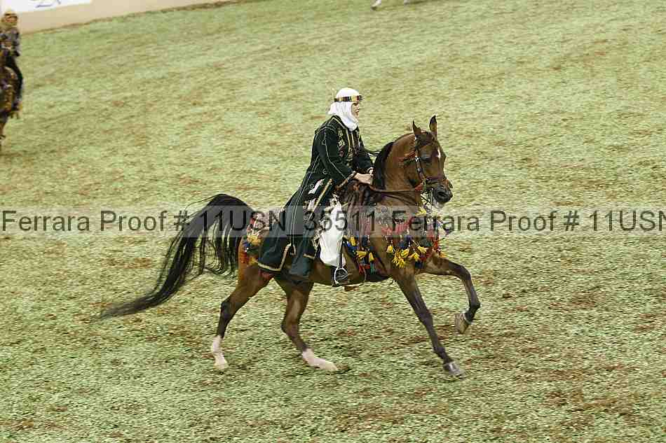 Proof 11usn_35511